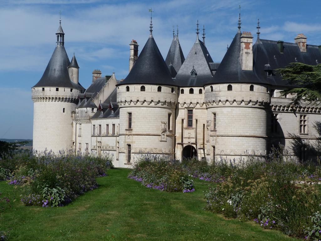 Вілла Gite Du Domaine Du Haut Perron Thesee Екстер'єр фото